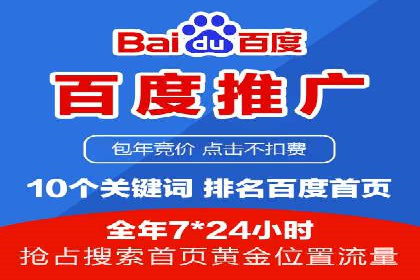 竞价推广公司的策略布局：某行业领导品牌的成功案例